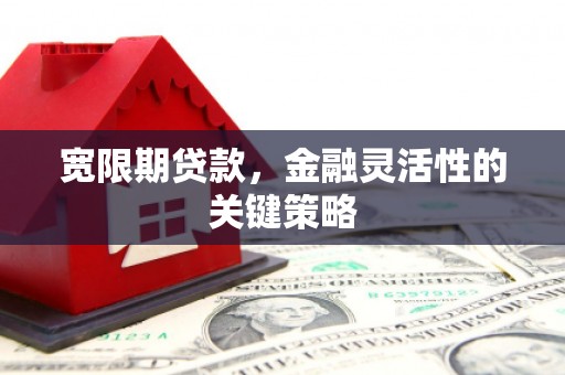 望谟宽限期贷款，金融灵活性的关键策略