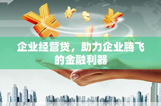 望谟企业经营贷，助力企业腾飞的金融利器