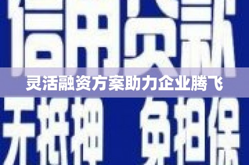 望谟灵活融资方案助力企业腾飞