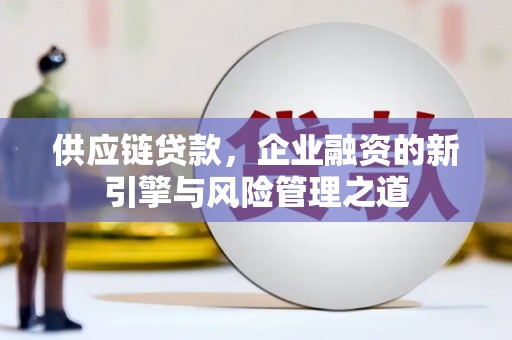 望谟供应链贷款，企业融资的新引擎与风险管理之道