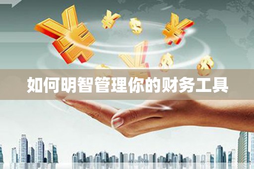 望谟如何明智管理你的财务工具