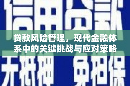 望谟贷款风险管理，现代金融体系中的关键挑战与应对策略