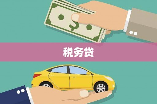 望谟税务贷