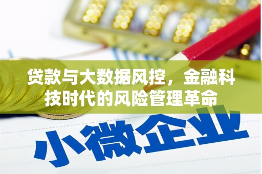 望谟贷款与大数据风控，金融科技时代的风险管理革命