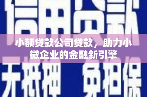 望谟小额贷款公司贷款，助力小微企业的金融新引擎