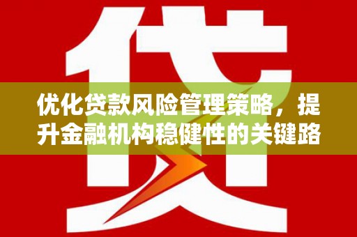 望谟优化贷款风险管理策略，提升金融机构稳健性的关键路径