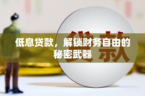 望谟低息贷款，解锁财务自由的秘密武器