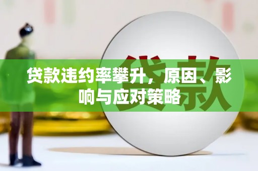 望谟贷款违约率攀升，原因、影响与应对策略
