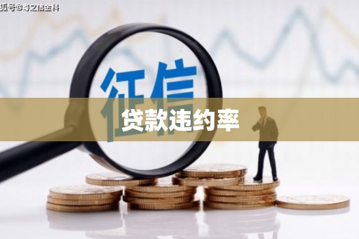 望谟贷款违约率