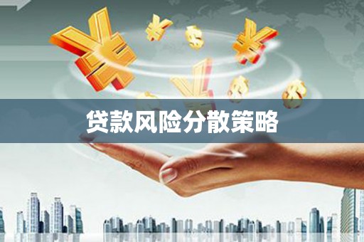 望谟贷款风险分散策略
