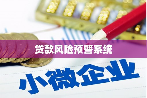 望谟贷款风险预警系统