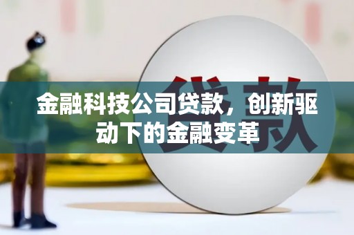 望谟金融科技公司贷款，创新驱动下的金融变革