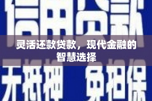 望谟灵活还款贷款，现代金融的智慧选择