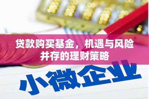 望谟贷款购买基金，机遇与风险并存的理财策略