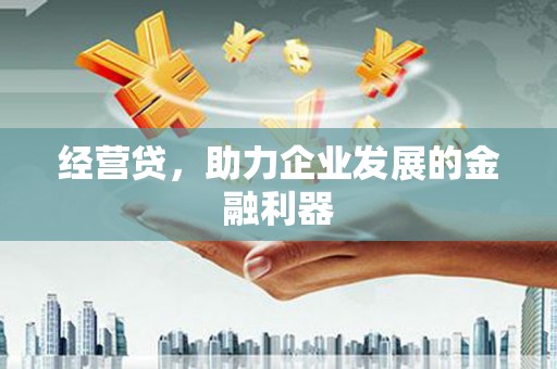 望谟经营贷，助力企业发展的金融利器
