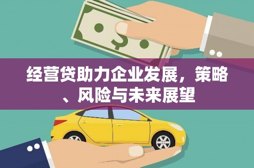 望谟经营贷助力企业发展，策略、风险与未来展望