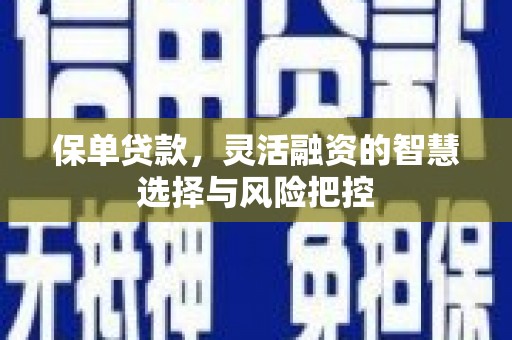 望谟保单贷款，灵活融资的智慧选择与风险把控