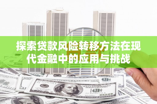 望谟探索贷款风险转移方法在现代金融中的应用与挑战