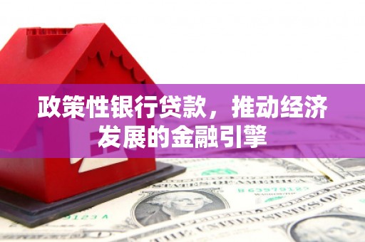 望谟政策性银行贷款，推动经济发展的金融引擎