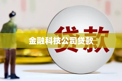 望谟金融科技公司贷款