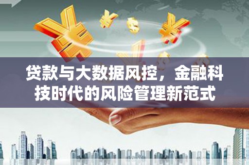 望谟贷款与大数据风控，金融科技时代的风险管理新范式