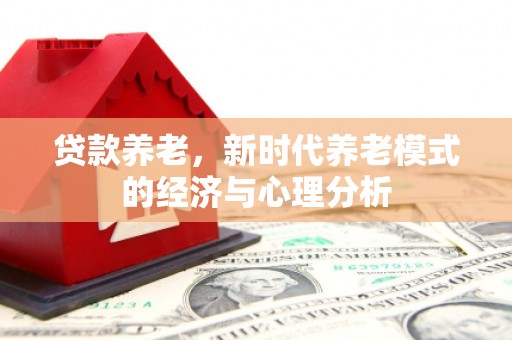 望谟贷款养老，新时代养老模式的经济与心理分析