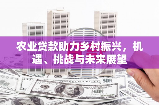 望谟农业贷款助力乡村振兴，机遇、挑战与未来展望