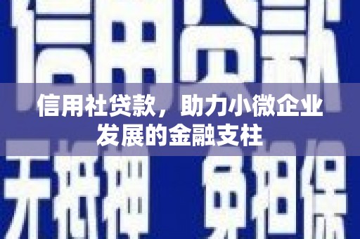 望谟信用社贷款，助力小微企业发展的金融支柱