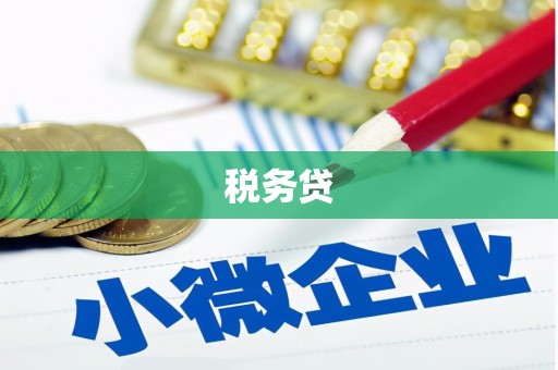 望谟税务贷