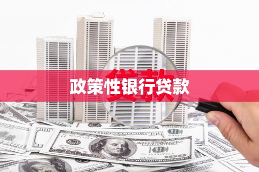 望谟政策性银行贷款