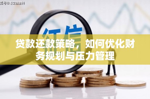 望谟贷款还款策略，如何优化财务规划与压力管理