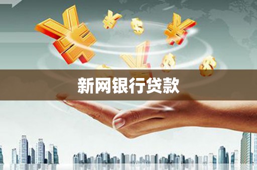 望谟新网银行贷款