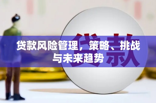 望谟贷款风险管理，策略、挑战与未来趋势