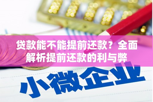 望谟贷款能不能提前还款？全面解析提前还款的利与弊