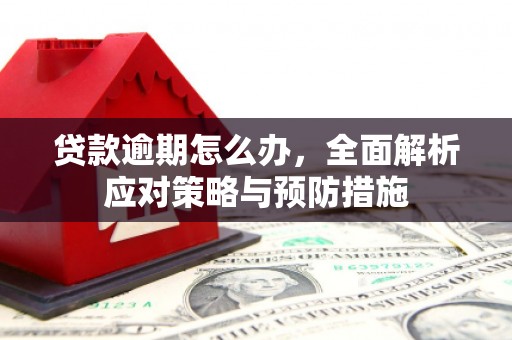 望谟贷款逾期怎么办，全面解析应对策略与预防措施