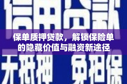 望谟保单质押贷款，解锁保险单的隐藏价值与融资新途径