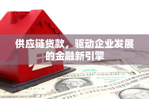 望谟供应链贷款，驱动企业发展的金融新引擎
