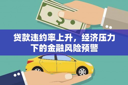 望谟贷款违约率上升，经济压力下的金融风险预警