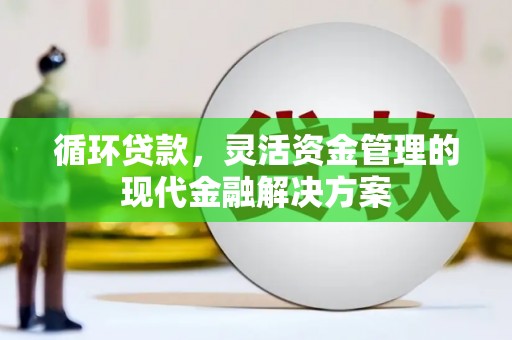 望谟循环贷款，灵活资金管理的现代金融解决方案
