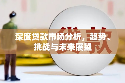 望谟深度贷款市场分析，趋势、挑战与未来展望