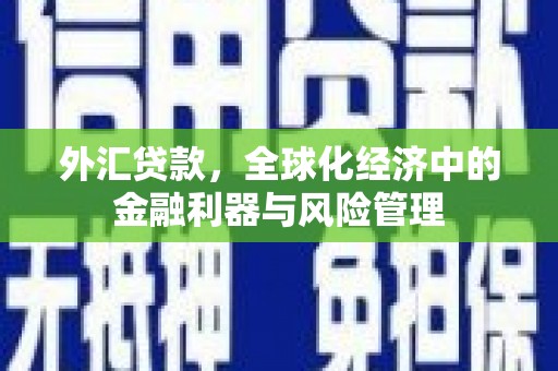 望谟外汇贷款，全球化经济中的金融利器与风险管理