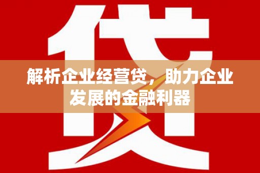 望谟解析企业经营贷，助力企业发展的金融利器