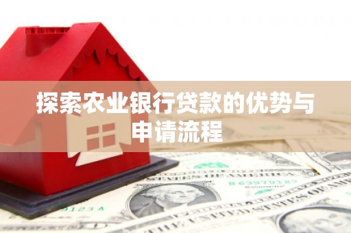 望谟探索农业银行贷款的优势与申请流程