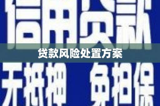 望谟贷款风险处置方案