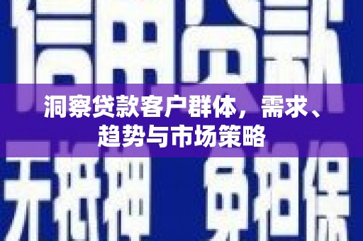 望谟洞察贷款客户群体，需求、趋势与市场策略