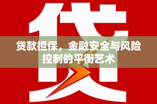 望谟贷款担保，金融安全与风险控制的平衡艺术