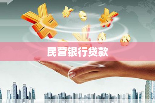 望谟民营银行贷款