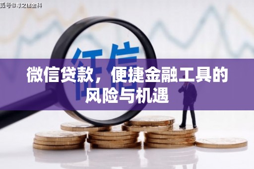 望谟微信贷款，便捷金融工具的风险与机遇
