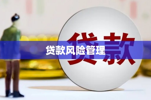 望谟贷款风险管理