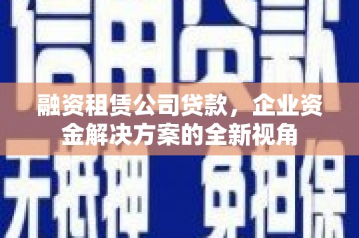 望谟融资租赁公司贷款，企业资金解决方案的全新视角